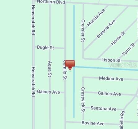 This is a map showing street names and a red location marker — 1231 CAMILO STREET, LAKE PLACID, FL