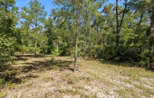 A wooded lot with scattered trees and low-lying vegetation under a clear blue sky — 1231 CAMILO STREET, LAKE PLACID, FL