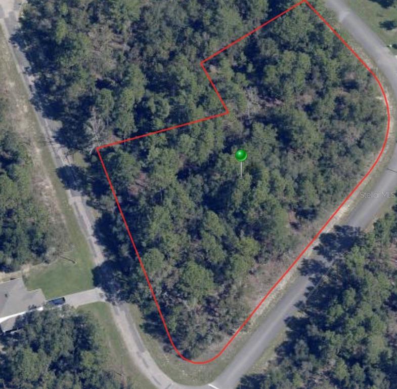 An aerial view shows a wooded, irregularly shaped vacant lot outlined in red — 8021 N EPIC DRIVE, CITRUS SPRINGS, FL