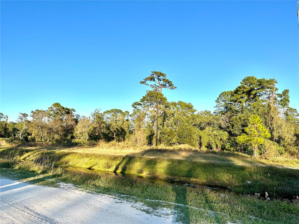 A dirt road runs alongside a drainage ditch bordering a wooded, grassy lot — 1635 CENTRAL PARKWAY, DELAND, FL