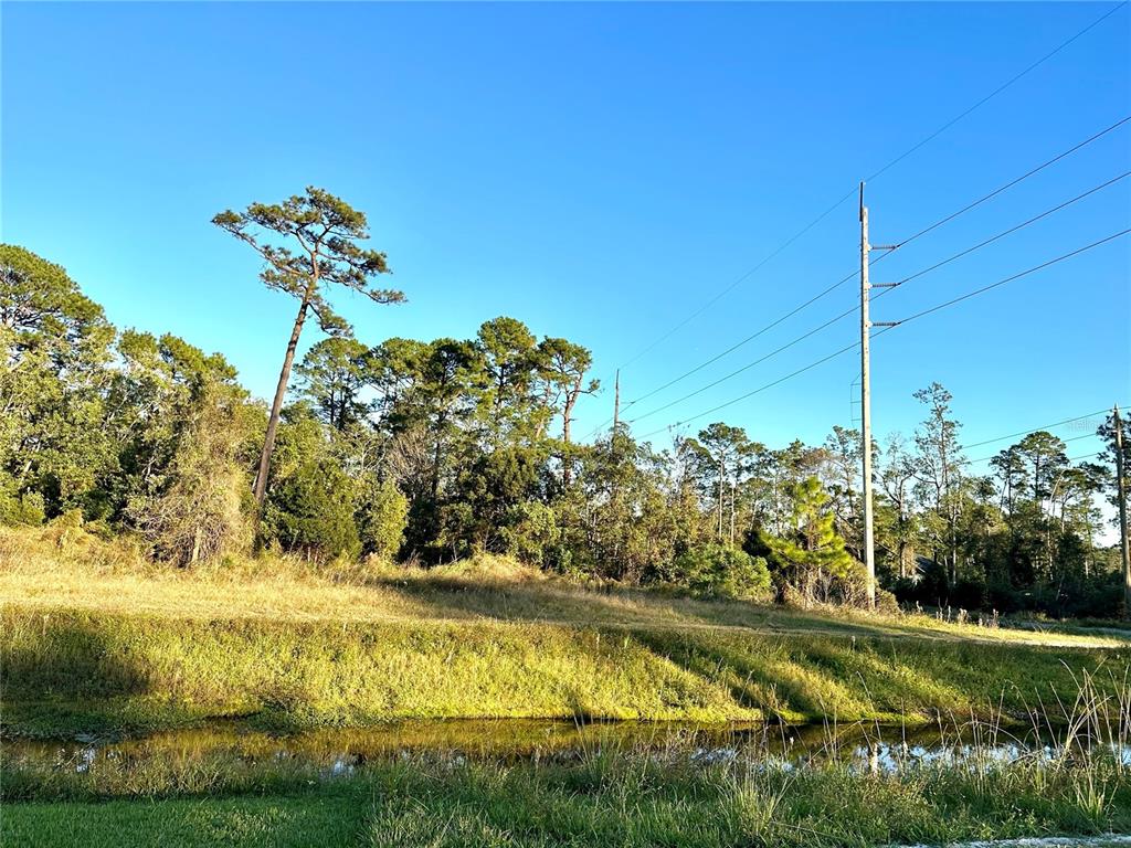 A grassy field with a small ditch in the foreground and trees in the background — 1635 CENTRAL PARKWAY, DELAND, FL
