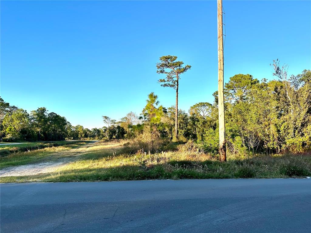 A view of a vacant, grassy lot with trees and a utility pole from a road — 1635 CENTRAL PARKWAY, DELAND, FL