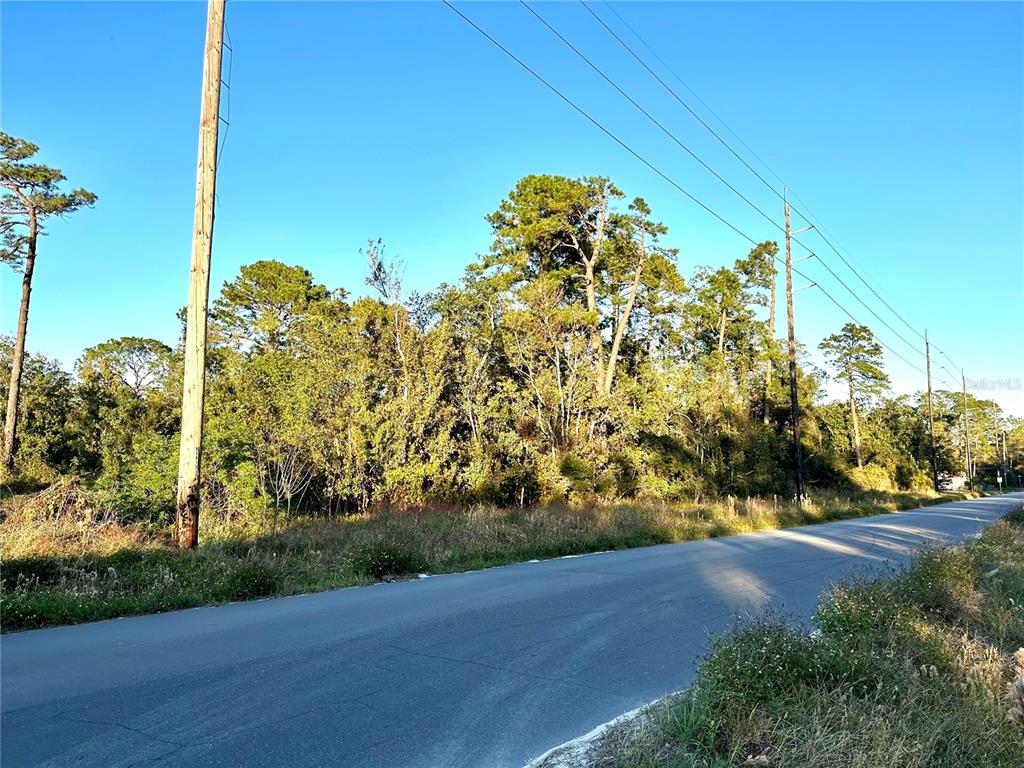 A paved road runs alongside a wooded lot with utility poles under a clear sky — 1635 CENTRAL PARKWAY, DELAND, FL