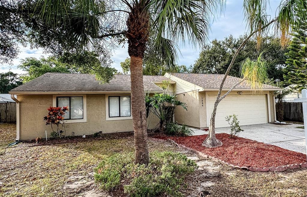 2884 CINNAMON BEAR TRAIL