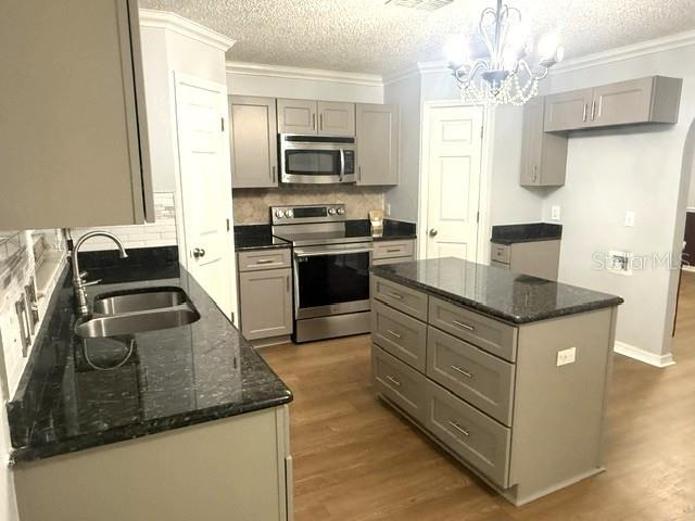 A kitchen features gray cabinets, dark granite countertops, stainless steel appliances, and a center island — 409 YEARLING COVE LOOP, APOPKA, FL