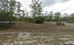 A vacant, wooded lot with sandy ground and scattered trees under a cloudy sky — 1600 E 15TH STREET, LEHIGH ACRES, FL