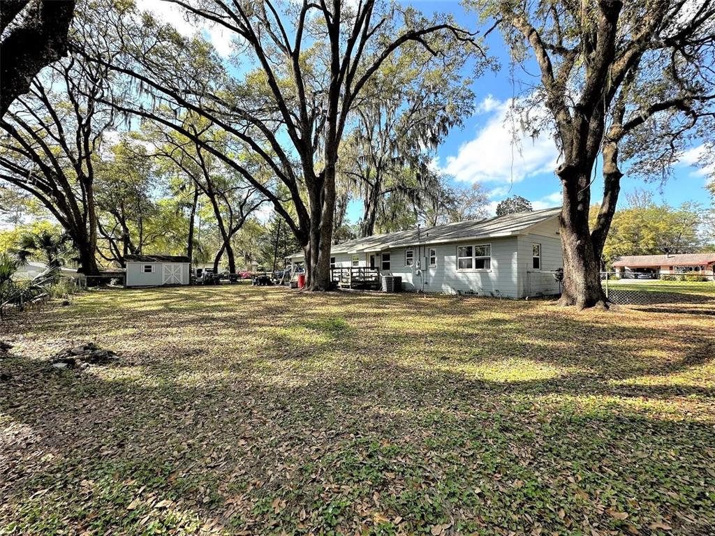 A single-story house with light siding sits on a large, tree-shaded lot with a shed — 1774 NE 12TH STREET, OCALA, FL