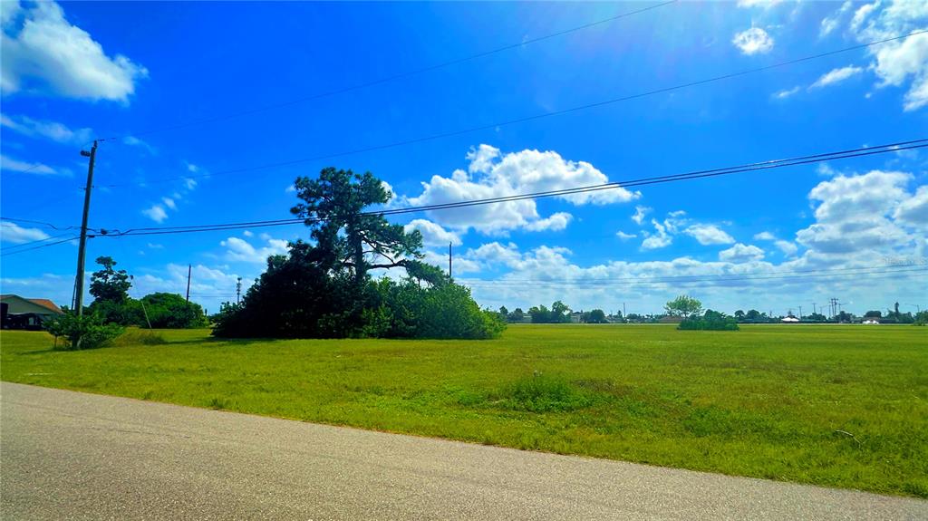 A large, grassy vacant lot features a cluster of trees under a bright blue sky — 566 NE 4TH TERRACE, CAPE CORAL, FL