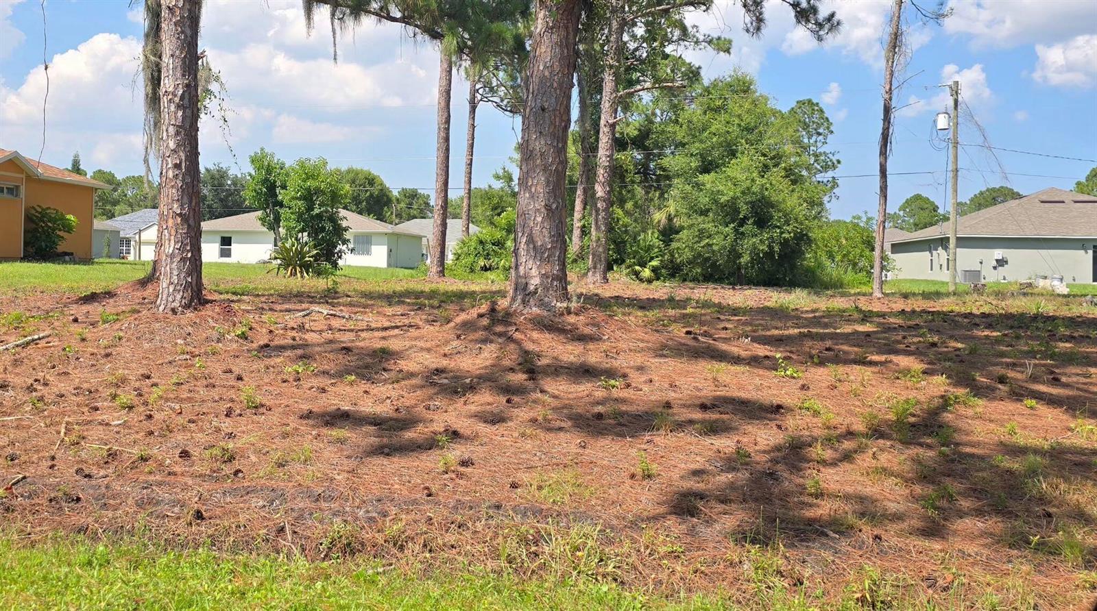 1979 Thomasville Avenue SE, Palm Bay FL 32909
