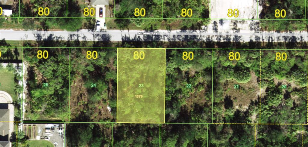 This is a satellite map view of a rectangular, wooded residential lot labeled number 23 — 23469 WICKENS AVENUE, PUNTA GORDA, FL