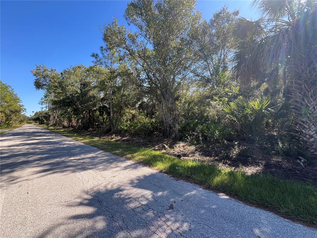 A paved road runs alongside a wooded lot with dense trees and palm vegetation — 23469 WICKENS AVENUE, PUNTA GORDA, FL