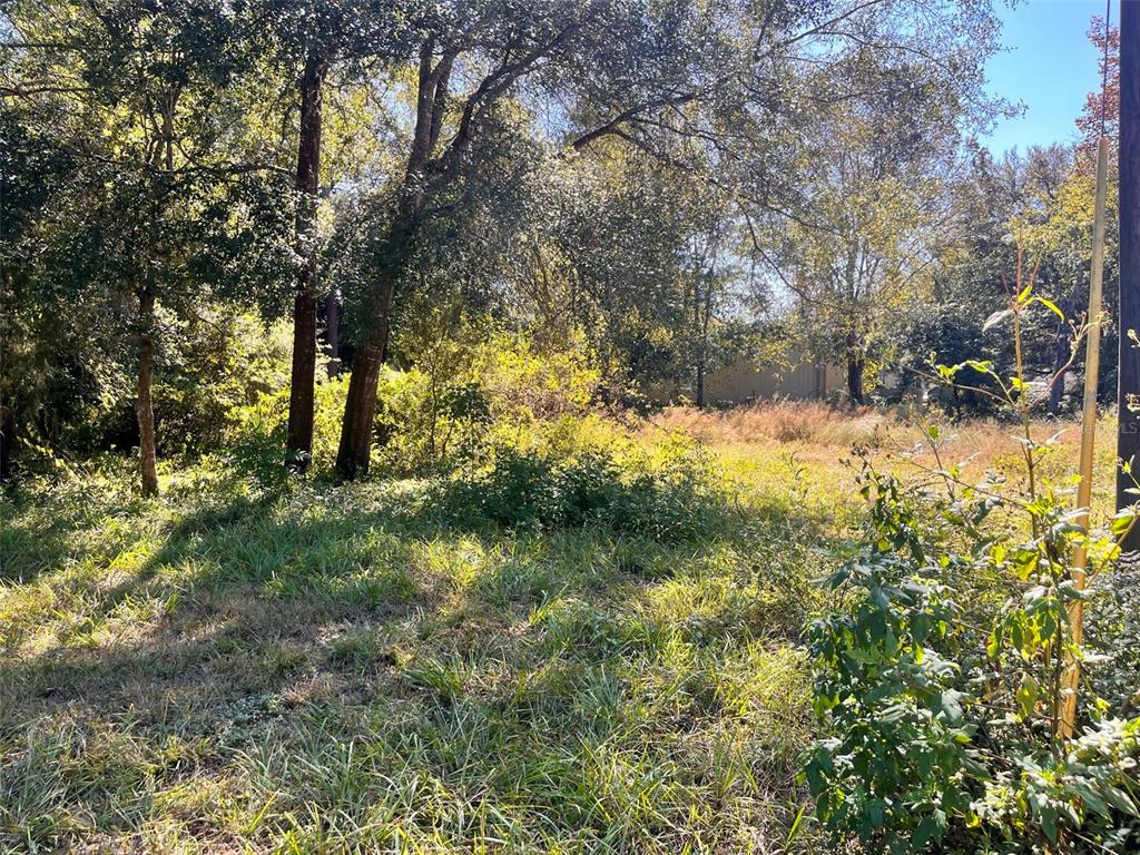 A view of a grassy, wooded lot with scattered trees and overgrown vegetation — 0000 SW 134TH AVENUE, ARCHER, FL