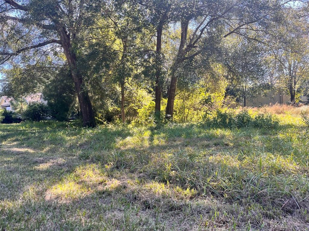 A grassy, sunlit lot features several large trees and dense vegetation in the background — 0000 SW 134TH AVENUE, ARCHER, FL