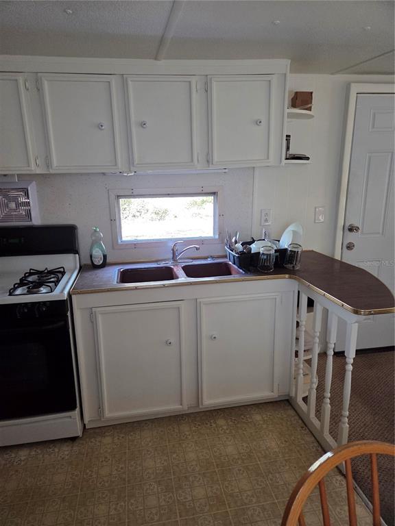 12503 AVERY ROAD, THONOTOSASSA, FL — photo 3 of 14