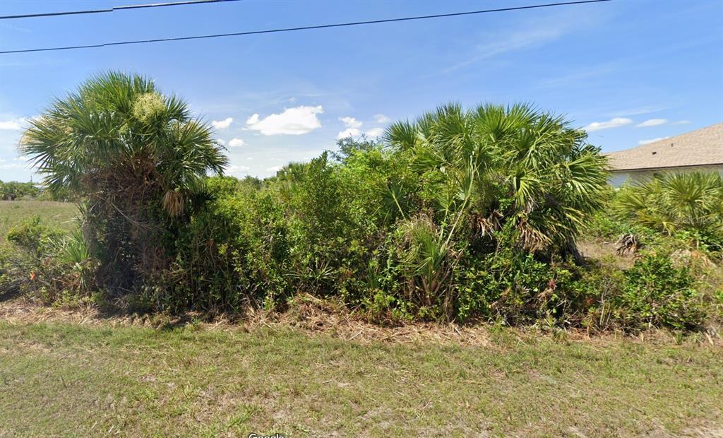 A vacant lot features dense vegetation, including several large palm trees, under a blue sky — 14306 PORT HURON AVENUE, PORT CHARLOTTE, FL