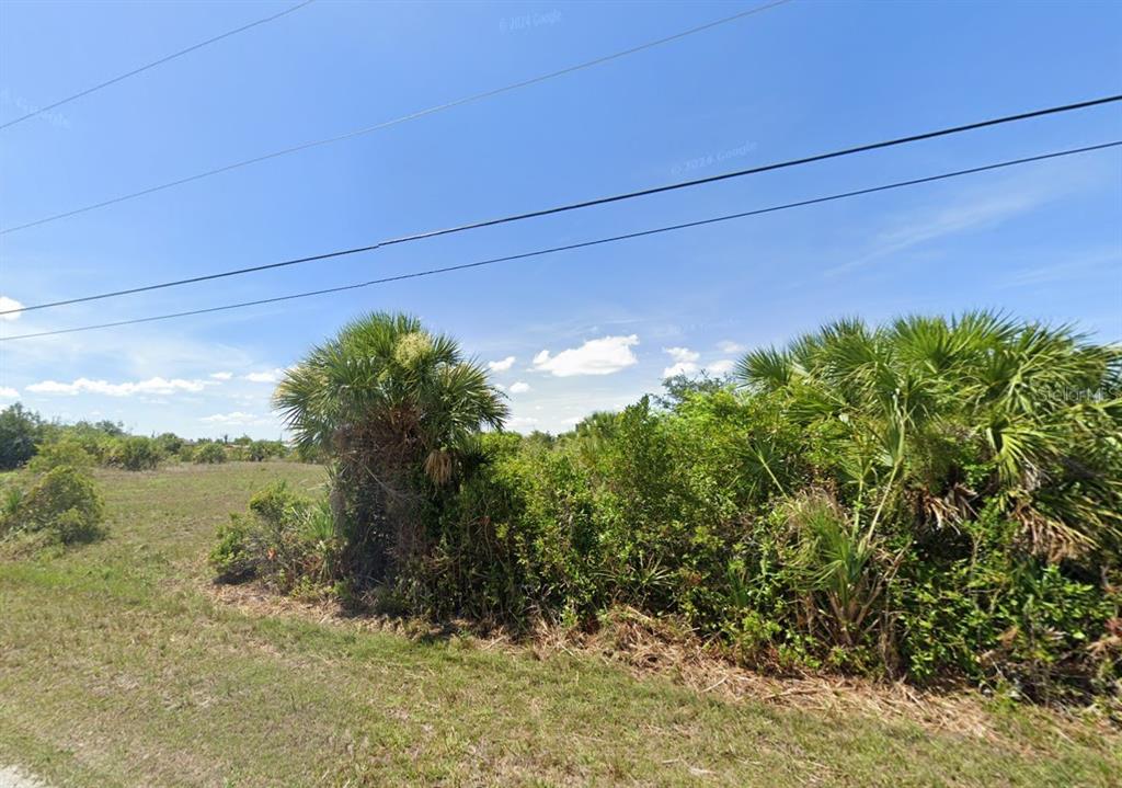 A grassy, undeveloped lot features dense clusters of palm trees and native Florida vegetation — 14306 PORT HURON AVENUE, PORT CHARLOTTE, FL
