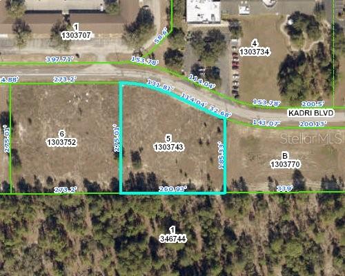 This is a map showing an aerial view of a vacant rectangular lot with property dimensions — 12160 KADRI BOULEVARD, SPRING HILL, FL