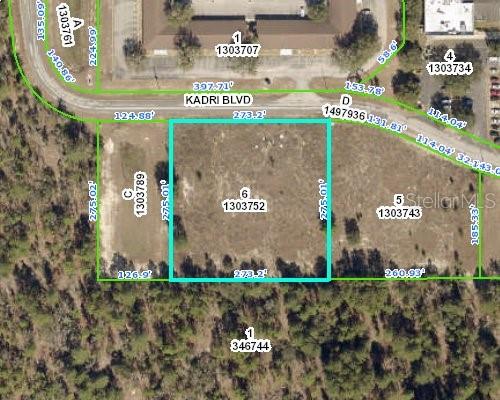 This is an aerial map showing a rectangular parcel of land highlighted in light blue — 12160 KADRI BOULEVARD, SPRING HILL, FL