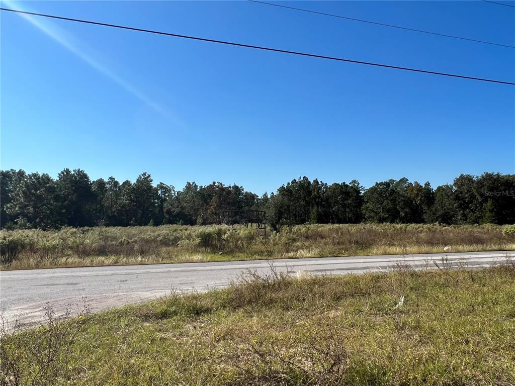 A vacant, grassy lot sits across a paved road from a dense line of trees — 12160 KADRI BOULEVARD, SPRING HILL, FL