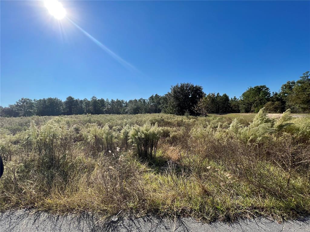 A wide, grassy field sits under a clear blue sky with a treeline in back — 12160 KADRI BOULEVARD, SPRING HILL, FL