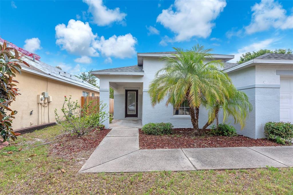 A single-story house exterior features a palm tree, a concrete walkway, and a front entrance — 6760 WATERTON DRIVE, RIVERVIEW, FL