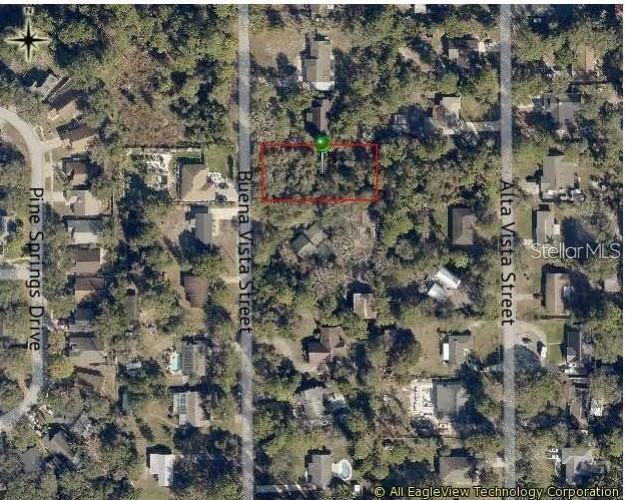 This is an aerial map showing a rectangular plot of land outlined in red — 215 BUENA VISTA STREET, DEBARY, FL