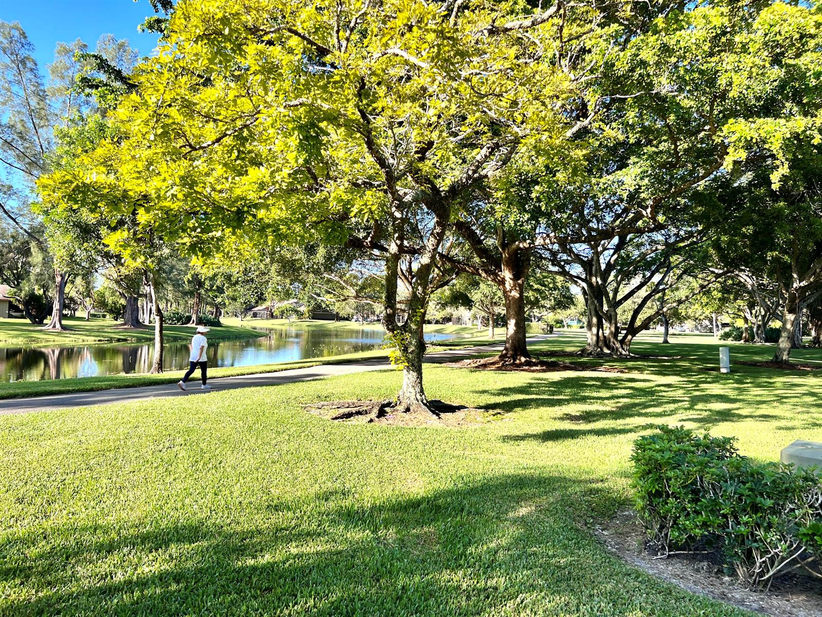 A person walks along a paved path beside a pond surrounded by large, leafy trees — 22303 Misty Woods Way, Boca Raton FL 33428, BOCA RATON, FL