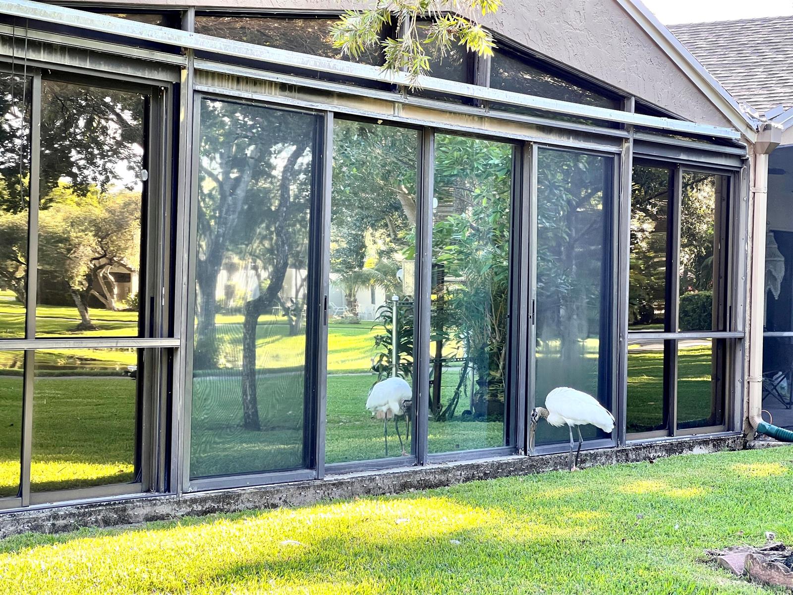 Two wood storks stand on the lawn outside a house with large sliding glass doors — 22303 Misty Woods Way, Boca Raton FL 33428, BOCA RATON, FL