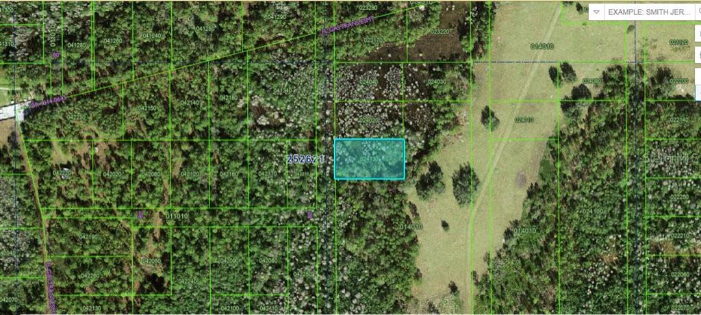 This is a map showing a highlighted rectangular parcel of land surrounded by wooded areas — COMMONWEALTH AVE N, POLK CITY, FL