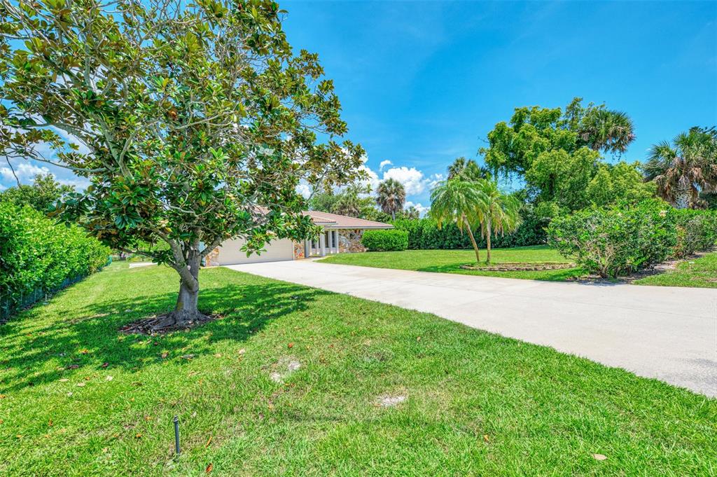 A paved driveway leads to a single-story house surrounded by a lawn and mature trees — 2340 PALMETTO STREET, NOKOMIS, FL