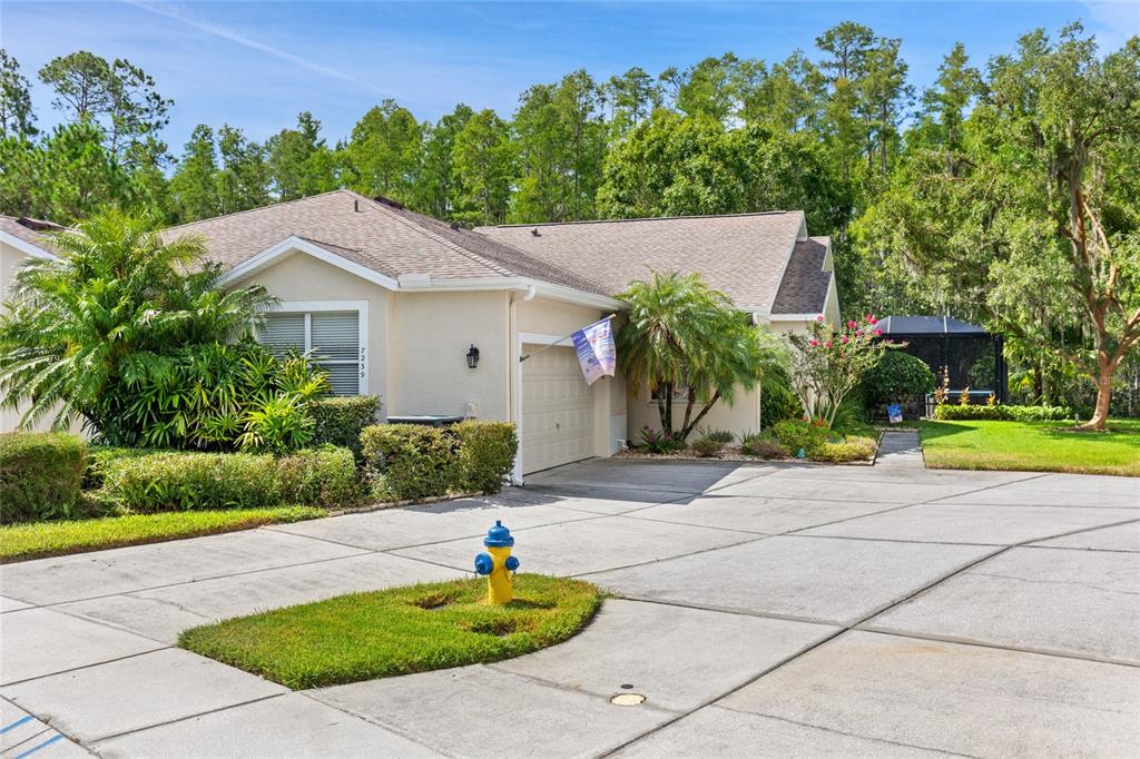 7239 CLEOPATRA DRIVE