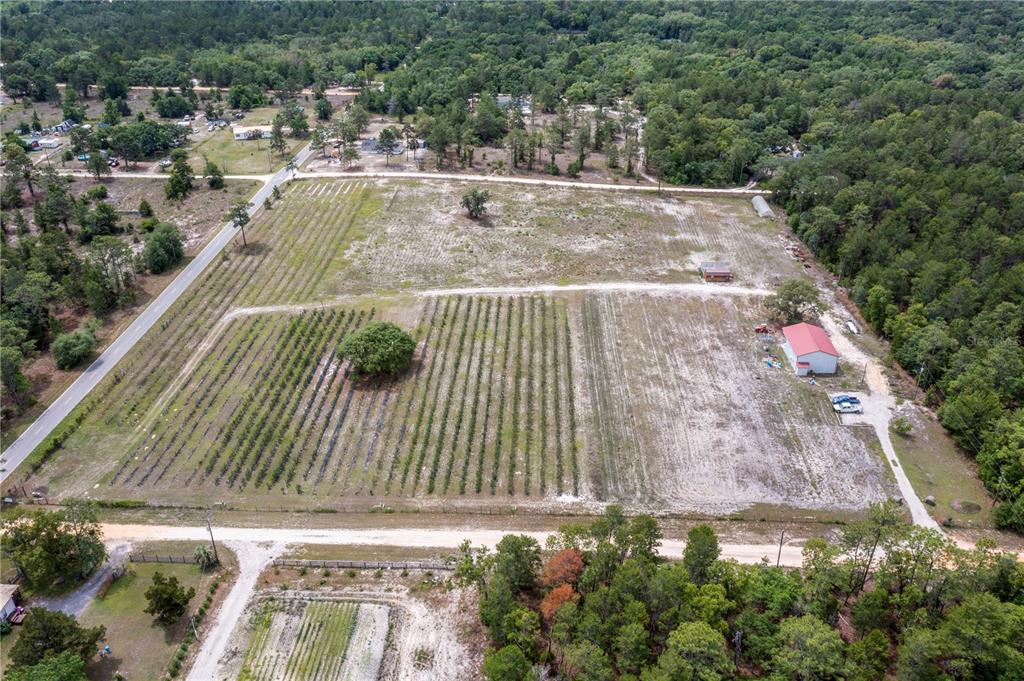 An aerial view shows a large agricultural lot with rows of crops and a small building — 130 STRAWBERRY LANE, POMONA PARK, FL