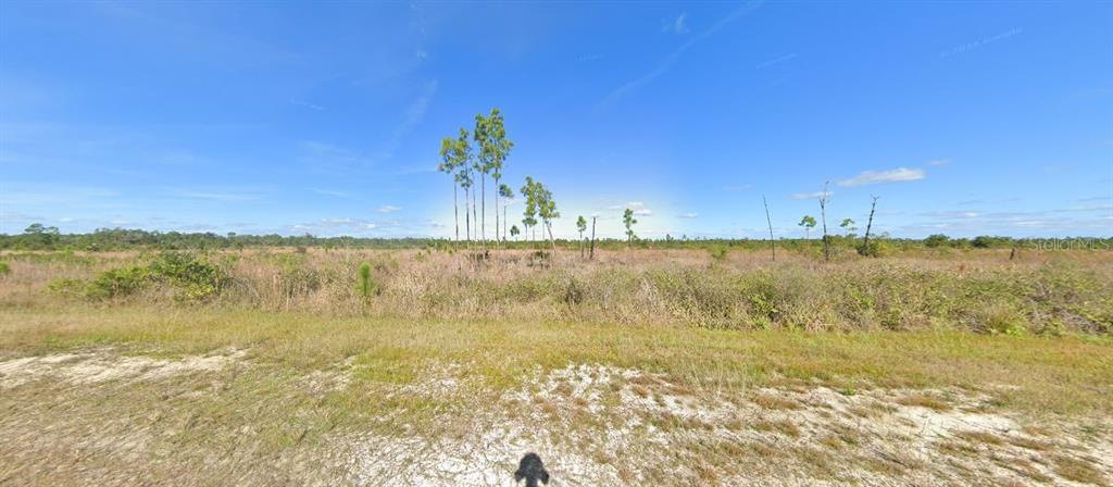 A wide, flat, grassy field features scattered pine trees under a clear blue sky — 506 PORTULACA DRIVE, INDIAN LAKE ESTATES,, FL