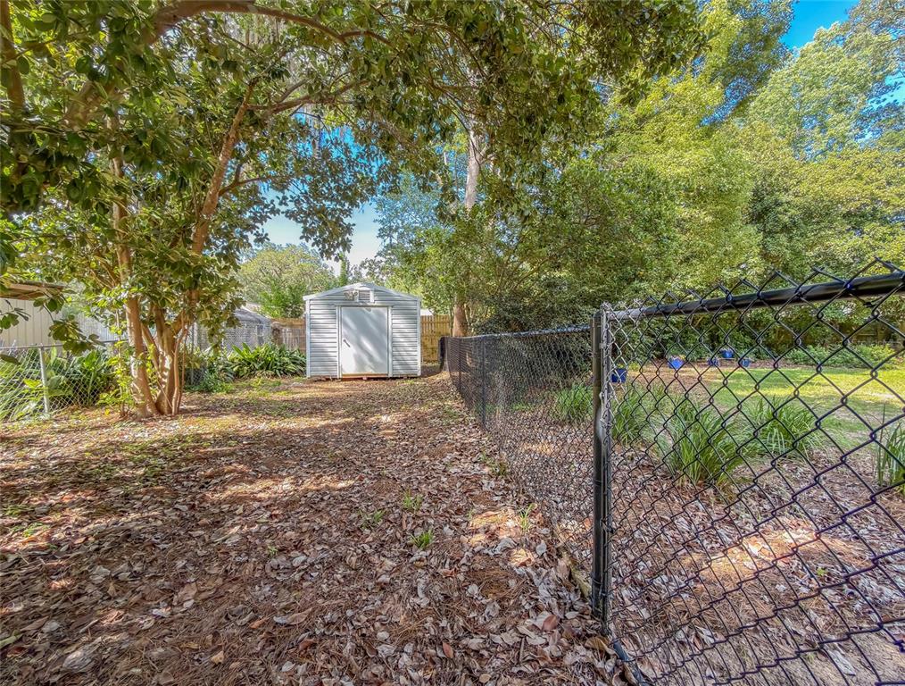 A backyard features a shed, a chain-link fence, and mature trees over a leaf-covered ground — 2210 WALL STREET, TALLAHASSEE, FL