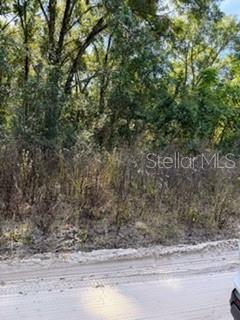 A dirt road runs in front of a wooded lot with dense trees and brush — Lot 22 SE 130TH PLACE, BELLEVIEW, FL