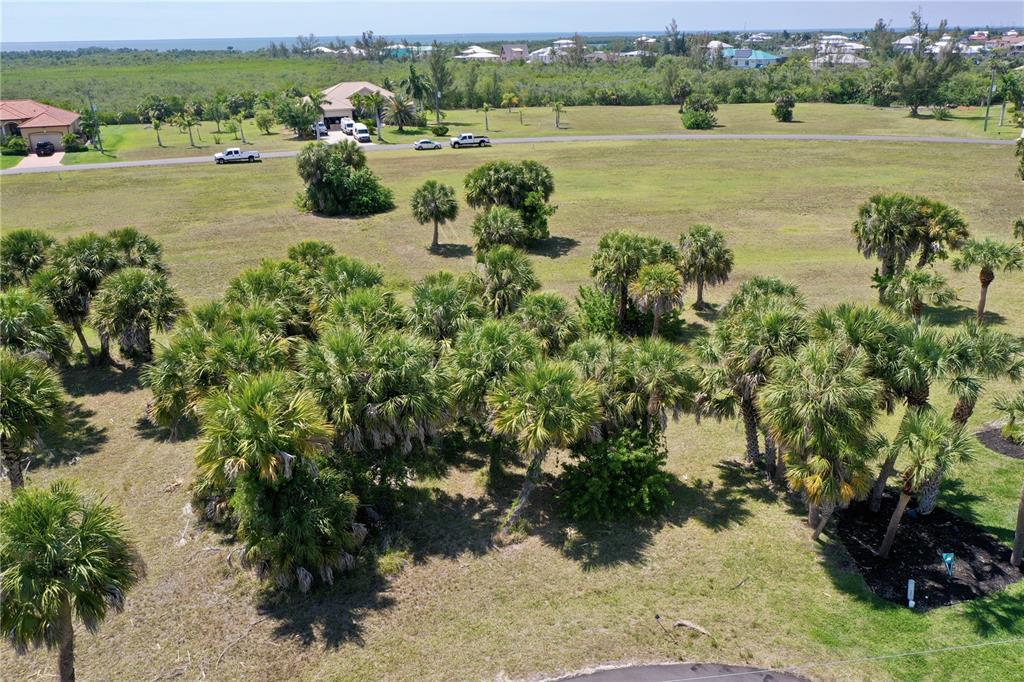 An aerial view shows a grassy lot with palm trees and a distant coastal landscape — 16091 CHITLAN COURT, PUNTA GORDA, FL