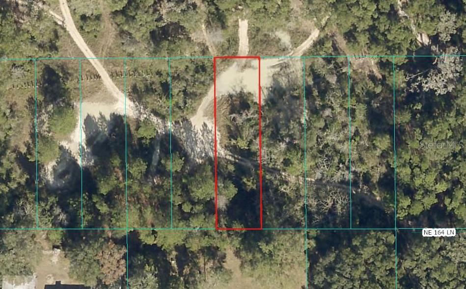 An aerial view shows a rectangular plot of land outlined in red among wooded lots — Lot 026 NE 164TH LANE, CITRA, FL