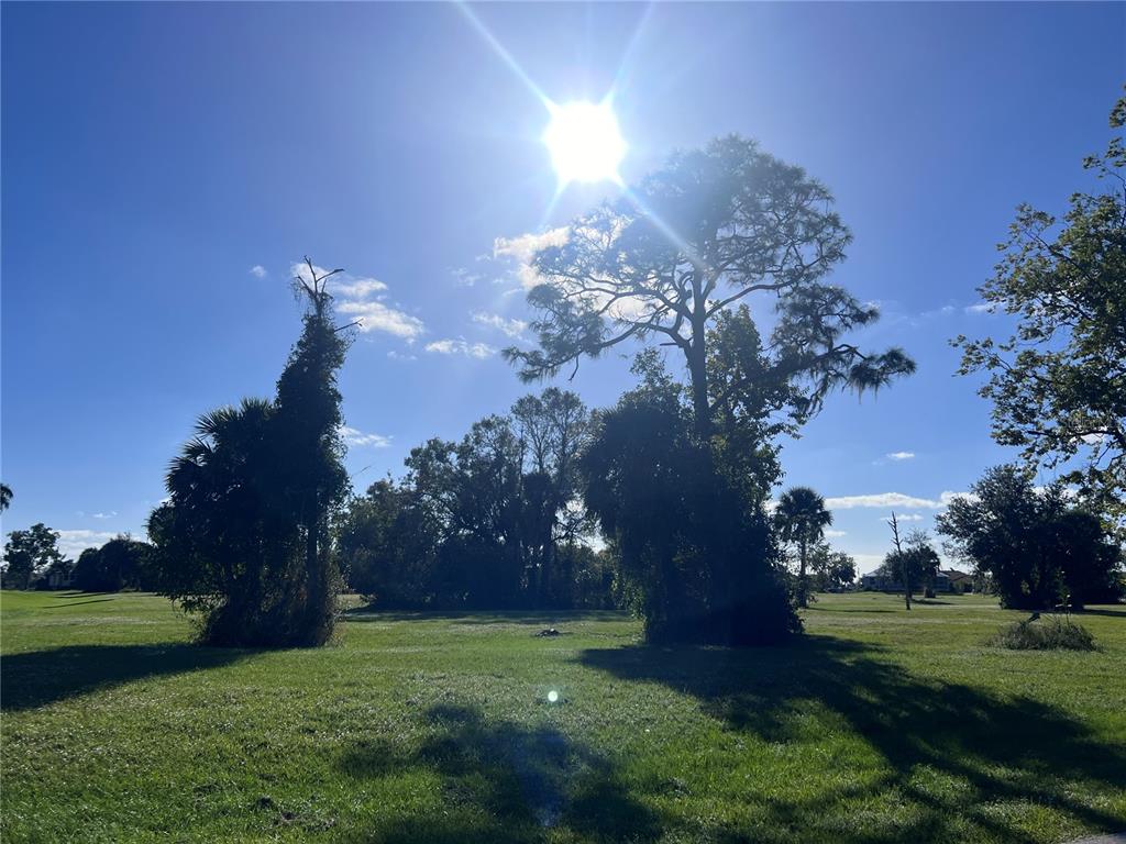 A sunny, grassy lot features several large trees and palm trees under a clear sky — 16818 ACAPULCO ROAD, PUNTA GORDA, FL
