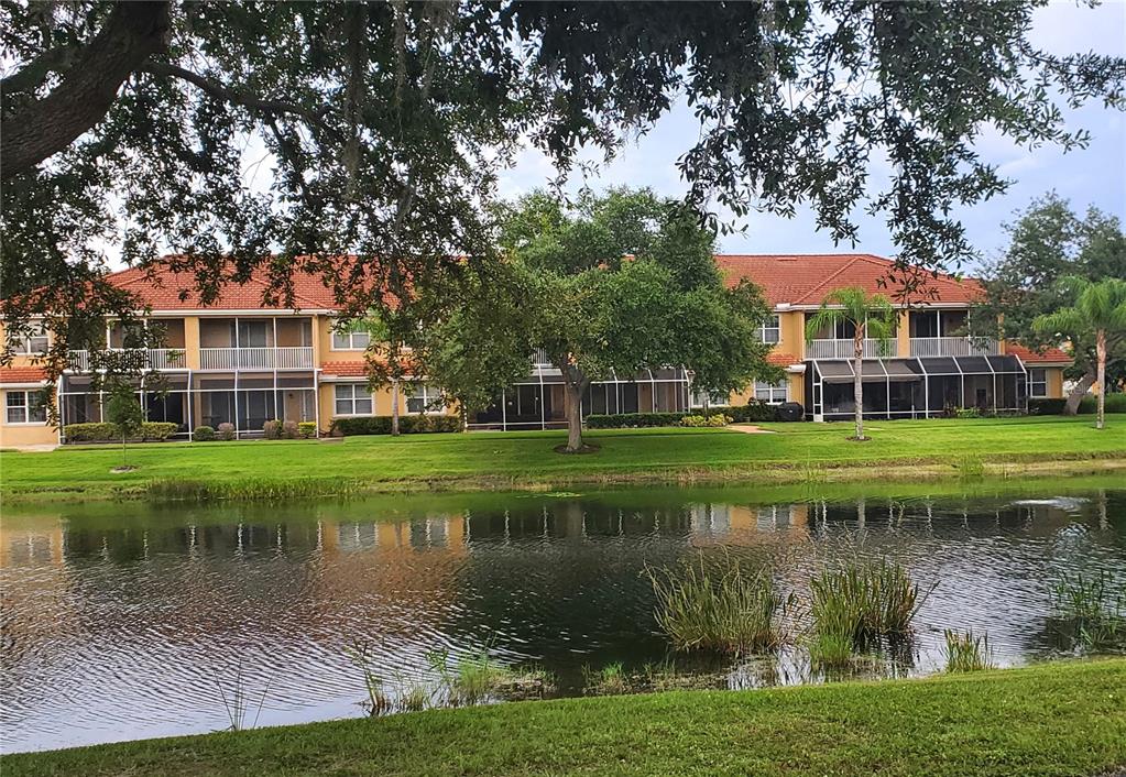 A multi-story apartment building with screened balconies overlooks a pond and grassy lawn — 6750 DALI AVENUE UNIT 206, LAND O LAKES, FL