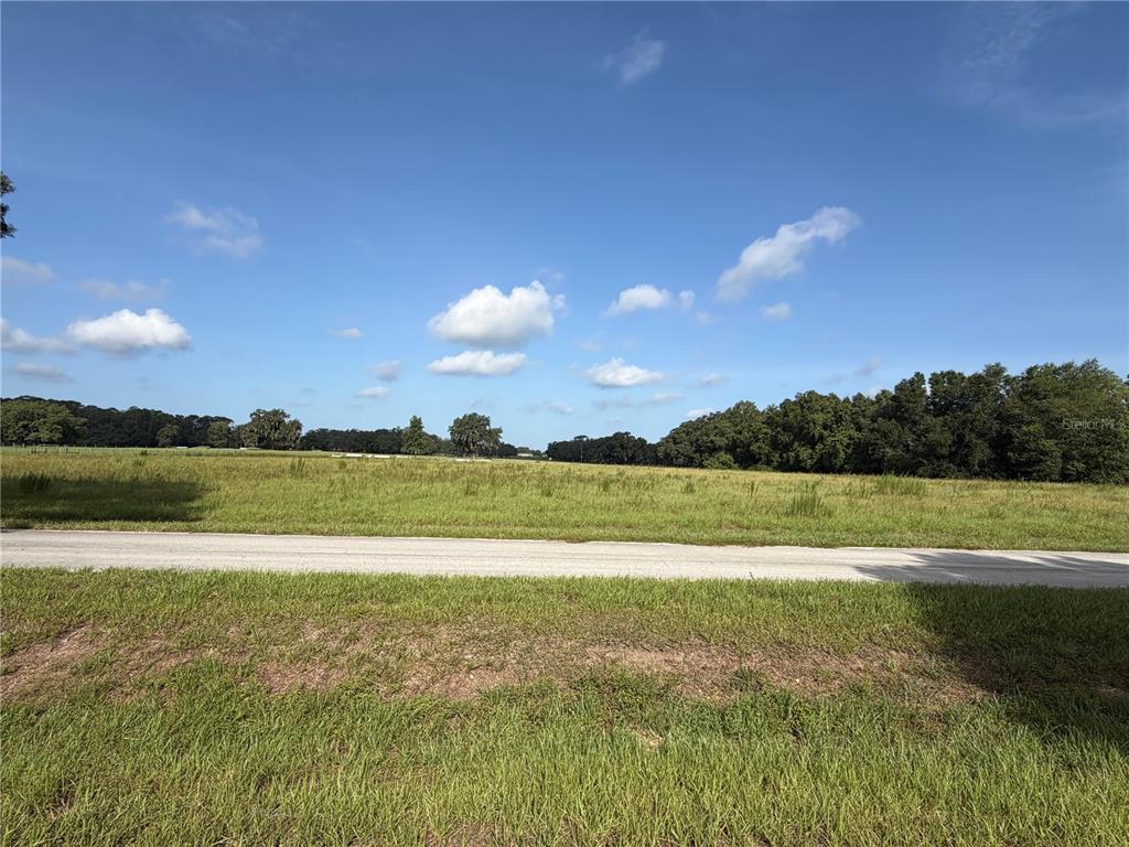 A wide, grassy field sits behind a paved road under a blue, partly cloudy sky — CROSS COUNTRY BOULEVARD, ALTOONA, FL