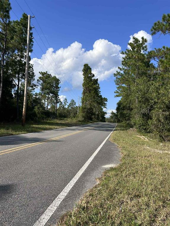 A paved road stretches into the distance, flanked by pine trees and a utility pole — 103 LEE DR, HAWTHORNE, FL