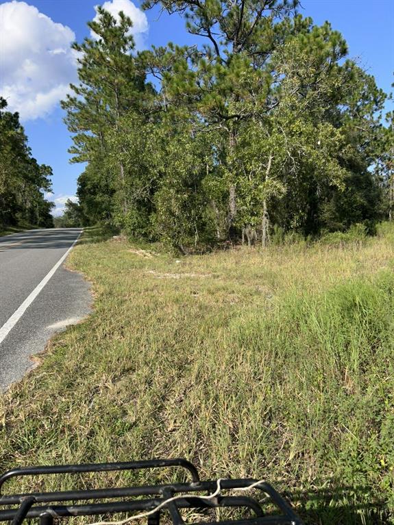 A paved road runs alongside a grassy field bordered by a dense line of trees — 103 LEE DR, HAWTHORNE, FL