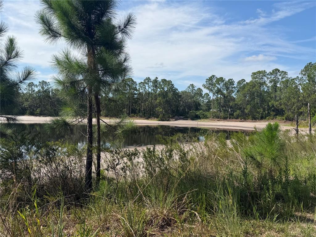 A sandy shoreline borders a calm pond surrounded by pine trees under a blue sky — TBD MALAUKA PASS TRAIL, OCKLAWAHA, FL