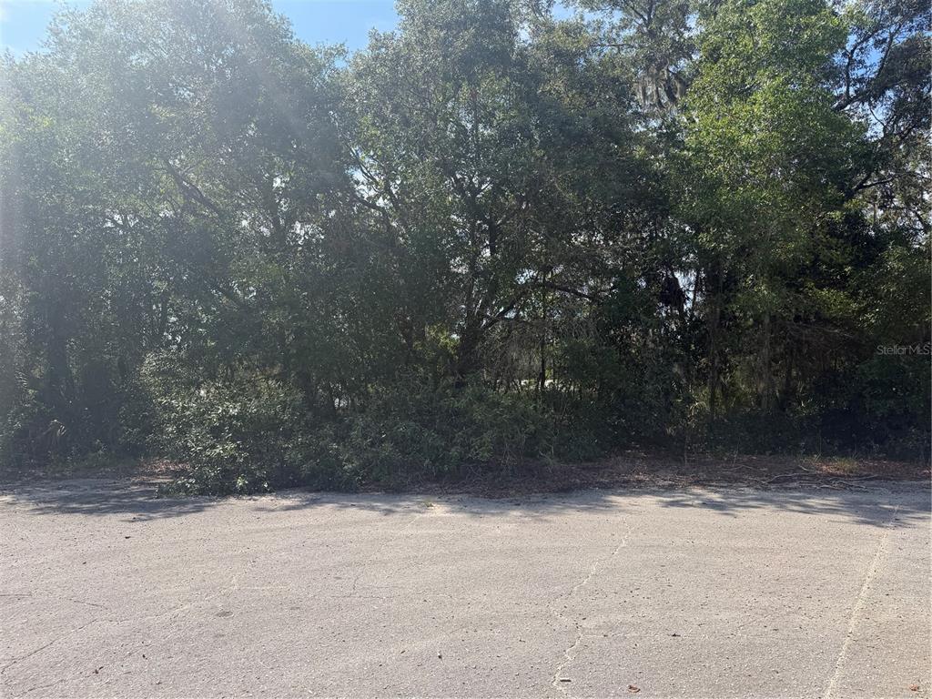 A paved area sits in front of a dense, wooded lot with mature trees — TBD MALAUKA PASS TRAIL, OCKLAWAHA, FL
