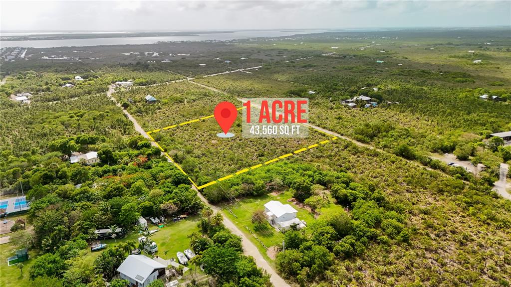 An aerial view shows a rectangular plot of land outlined in yellow amidst vegetation — RACOON RUN, BIG PINE KEY, FL