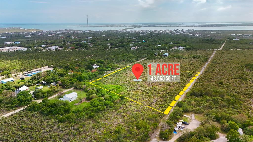 An aerial view shows a rectangular plot of land outlined in yellow with a location pin — RACOON RUN, BIG PINE KEY, FL