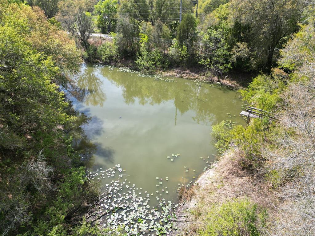 An aerial view of a small, tree-lined pond with lily pads and a wooden dock — 3095 COUNTY ROAD 202, OXFORD, FL