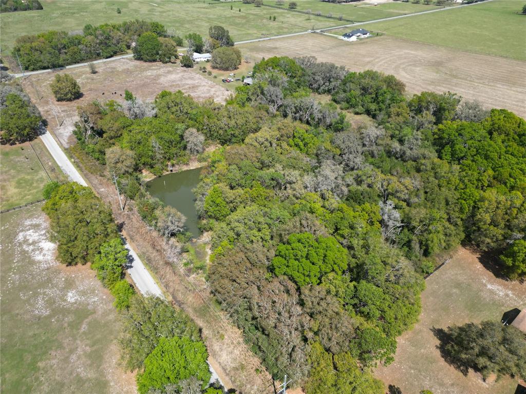 An aerial view shows a wooded lot with a small pond next to a road — 3095 COUNTY ROAD 202, OXFORD, FL