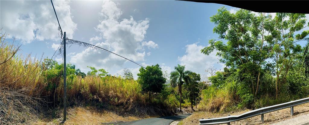 A paved road winds through a grassy, tree-lined landscape under a bright, cloudy sky — 857 ROUTE UNIT km 6.8, CAROLINA, PR