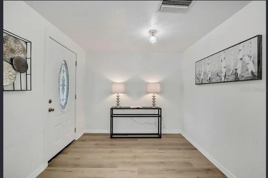A bright entryway features light wood flooring, a white front door, and a console table — 19003 CEDAR LANE, LUTZ, FL